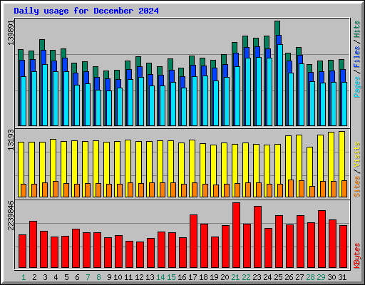 Daily usage for December 2024