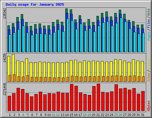 Daily usage for January 2025