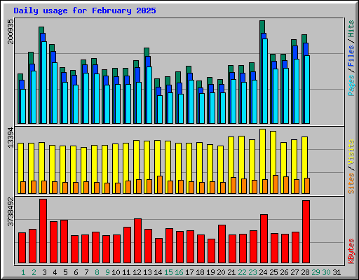 Daily usage for February 2025