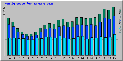 Hourly usage for January 2023