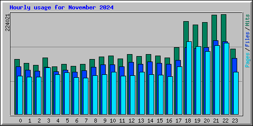 Hourly usage for November 2024