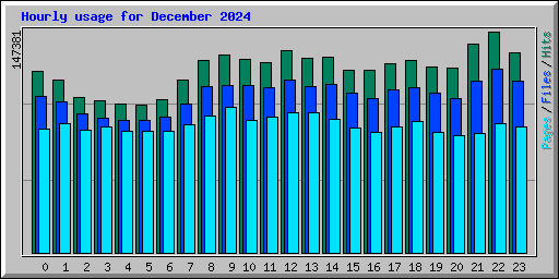 Hourly usage for December 2024