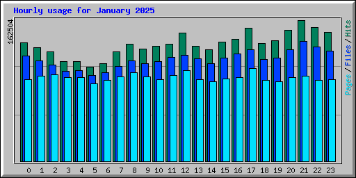 Hourly usage for January 2025