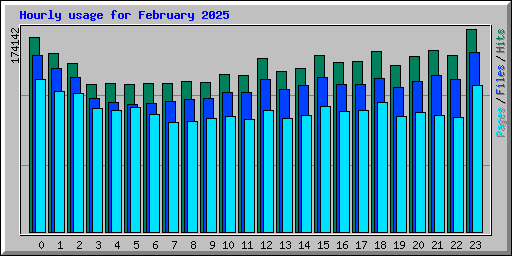 Hourly usage for February 2025