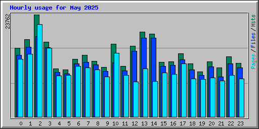 Hourly usage for May 2025