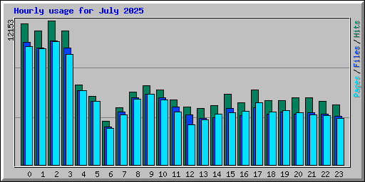 Hourly usage for July 2025