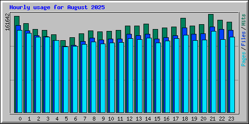 Hourly usage for August 2025