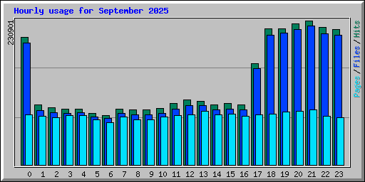 Hourly usage for September 2025