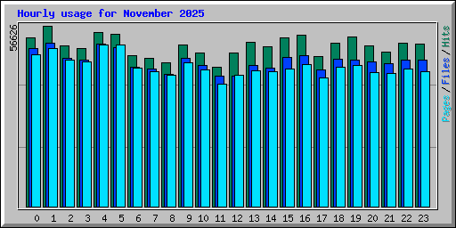Hourly usage for November 2025