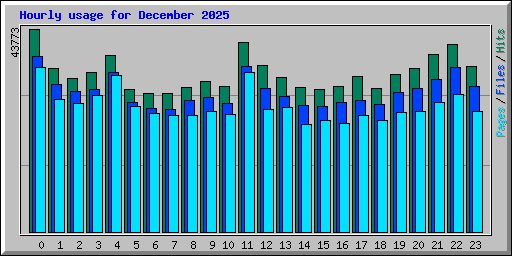 Hourly usage for December 2025
