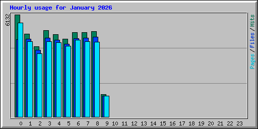 Hourly usage for January 2026