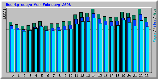 Hourly usage for February 2026