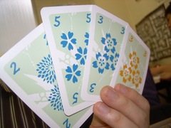 Hanabi20110427.jpg