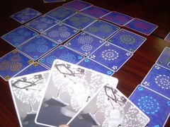 Hanabi20110625.JPG