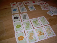 Hanabi20110903.JPG