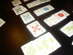 Hanabi20111112.JPG