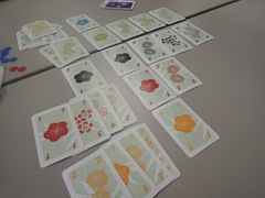 Hanabi20120603.JPG