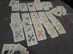 Hanabi20130809.JPG