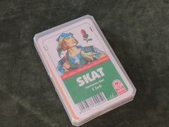 Skat20130104.JPG