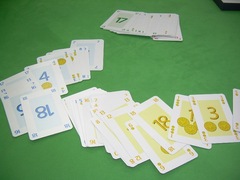 TrickyDouble20110125.jpg