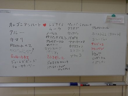 Results20240608.JPG