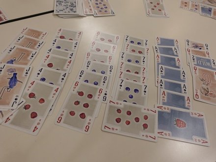 Canasta20241116.JPG