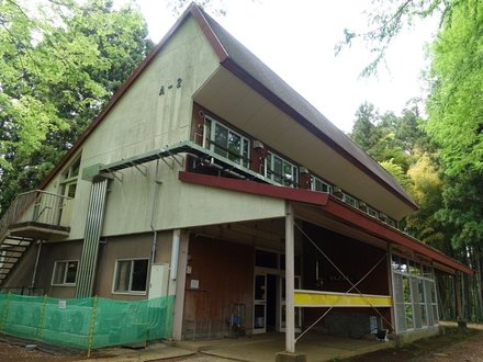 Rindou2-20250504.JPG