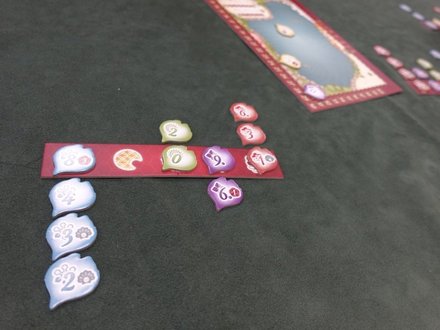 FiveSeasons20250914.JPG