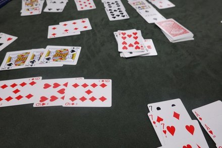 Canasta20260222.JPG