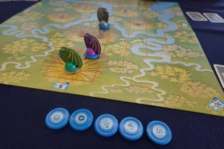 GoldenerDrache20260517.JPG