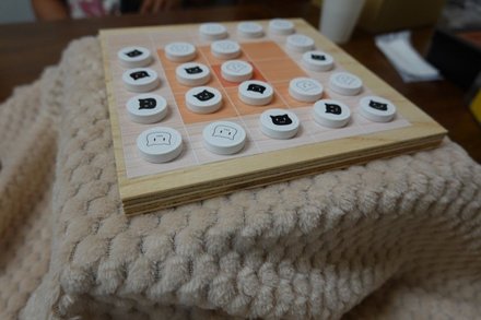 CatsJumpOnKotatsu20260530.JPG