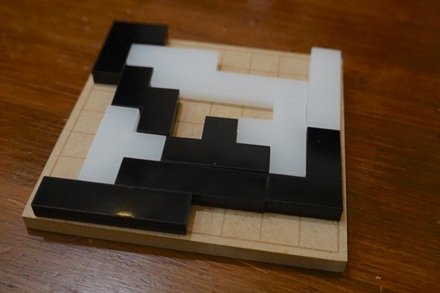 Tetrigo20260627.JPG