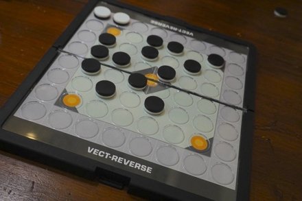 Vect-Reverse20260627-2.JPG