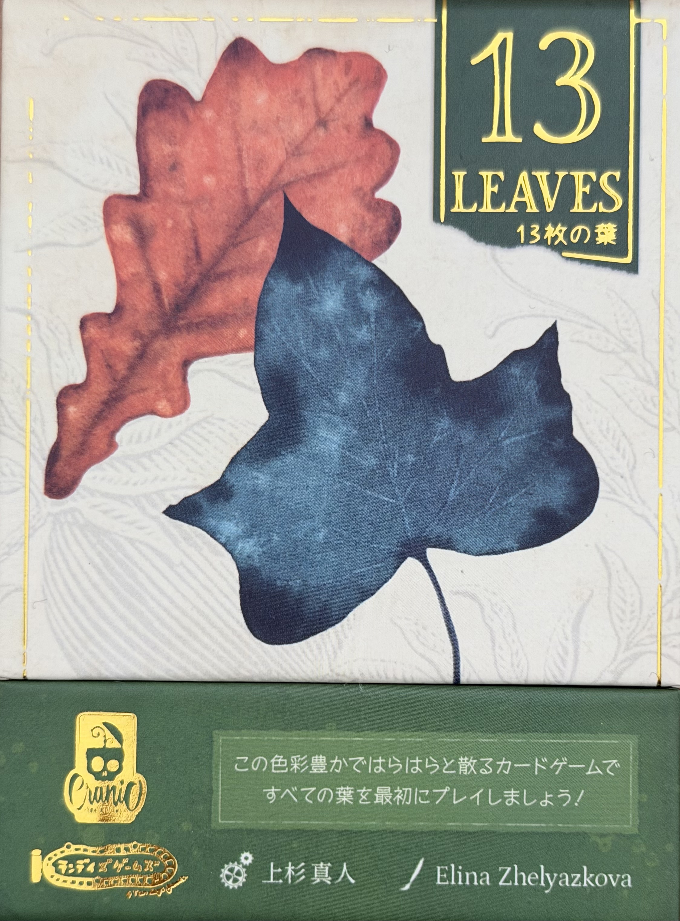 13枚の葉ボックス表